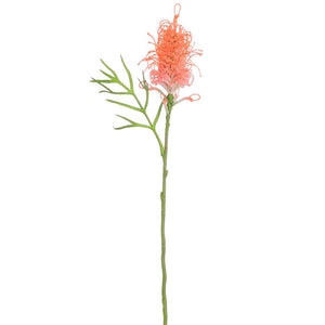 Coral Orange Tropical Grevillea Banksii Fake Flower