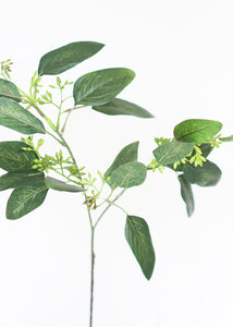 Artificial Seeded Eucalyptus Spray in Green Burgundy - 19" Tall