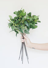Load image into Gallery viewer, Artificial Seeded Eucalyptus Spray in Green Burgundy - 19&quot; Tall
