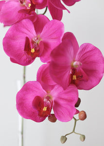 Large Faux Phalaenopsis Orchid in Fuchsia - 42" Tall
