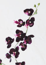 Load image into Gallery viewer, Mini Silk Phalaenopsis Orchid in Eggplant - 30" Tall

