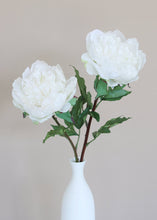 Load image into Gallery viewer, Natural Touch Peony Stem in Cream - 30" Tall
