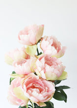 Load image into Gallery viewer, Pink Peony Silk Flower - 21" Tall
