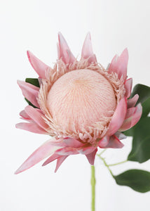 Artificial Tropical Flowers King Protea in Pink