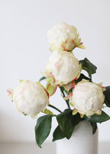 Load image into Gallery viewer, Artificial Flower Peony Bud in Cream - 18&quot; Tall

