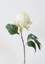 Load image into Gallery viewer, Artificial Flower Peony Bud in Cream - 18&quot; Tall
