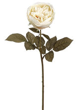 Load image into Gallery viewer, Silk English Cabbage Rose in Eggshell Cream - 25" Tall
