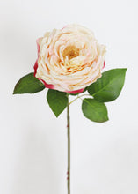 Load image into Gallery viewer, Cabbage Rose Fake Flower in Soft Yellow Peach
