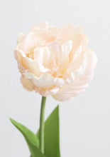 Load image into Gallery viewer, Soft Pink Parrot Tulip Fake Flower
