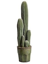 Load image into Gallery viewer, Fake Column Cactus Plant in Terra Cotta Pot - 25&quot;
