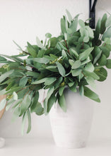 Load image into Gallery viewer, Real Touch Seeded Eucalyptus Weeping Branch - 52" Long
