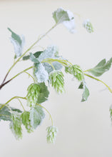 Load image into Gallery viewer, Snowy Green Glittered Plastic Hops Winter Branch - 36"
