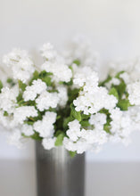 Load image into Gallery viewer, Silk Flower Baby&#39;s Breath in White - 19&quot;
