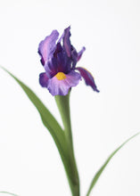 Load image into Gallery viewer, Silk Iris Stem in Purple - 28"

