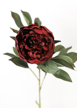 Load image into Gallery viewer, Faux Peony Flower in Burgundy - 30.5&quot; Tall
