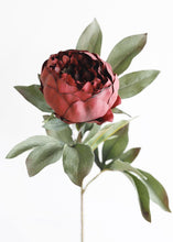 Load image into Gallery viewer, Faux Peony Flower in Burgundy - 30.5&quot; Tall

