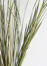 Load image into Gallery viewer, Preserved Wild Grass in Green - 45-55&quot; Tall
