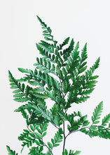 Load image into Gallery viewer, Pack of 10 - Preserved Leather Leaf

