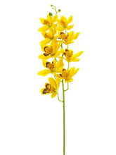 Load image into Gallery viewer, Silk Cymbidium Orchid in Golden Yellow - 30" Tall
