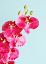 Load image into Gallery viewer, Hot Pink Magenta Artificial Phalaenopsis Orchids - 35&quot;
