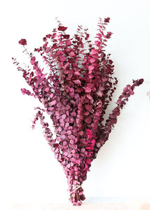 Berry Pink Spiral Eucalyptus Preserved - 28-30"