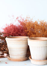 Load image into Gallery viewer, Antique Pink Terracotta Pot and Saucer - 6&quot; Tall x 6.25&quot; Wide with Drainage
