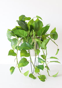 Ceramic White Cassa Plant Stand - 10.75" Tall