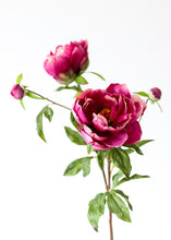 Load image into Gallery viewer, Fuchsia Real Touch Peony with Flower Bud
