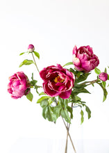 Load image into Gallery viewer, Fuchsia Real Touch Peony with Flower Bud
