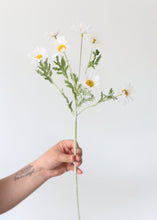 Load image into Gallery viewer, Artificial Margurite Daisy Stem
