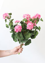 Load image into Gallery viewer, Pink UV Protected Outdoor Silk Geranium Bush
