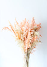 Load image into Gallery viewer, Pack of 6 - Textured Natural Pampas Grass in Pink - 20-30"

