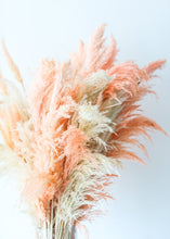 Load image into Gallery viewer, Pack of 6 - Textured White Dried Pampas Grass - 20-30"
