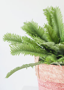 Fake Cycas Palm Leaves Plant - 23"