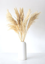 Load image into Gallery viewer, Pack of 6 - Textured Natural Tan Pampas Grass - 20-30"
