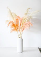 Load image into Gallery viewer, Pack of 6 - Textured White Dried Pampas Grass - 20-30"

