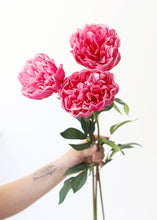 Load image into Gallery viewer, Dark Pink Real Touch Peony Flower
