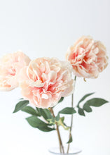 Load image into Gallery viewer, Artificial Real Touch Peony in Pink
