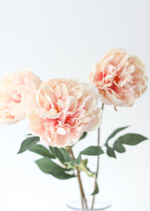 Artificial Real Touch Peony in Pink
