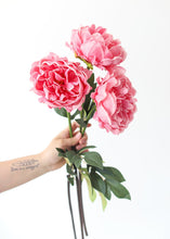 Load image into Gallery viewer, Pink Real Touch Peony Artificial Flower
