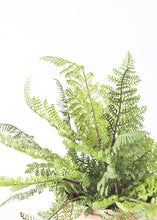 Load image into Gallery viewer, Fake Plastic Outdoor Lace Fern Plant - 15&quot;
