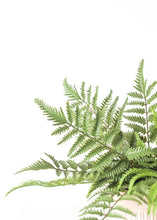 Load image into Gallery viewer, Fake Outdoor Plants Forest Fern Bush - 15&quot;
