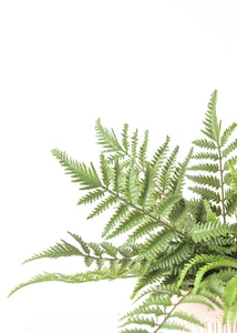 Fake Outdoor Plants Forest Fern Bush - 15"
