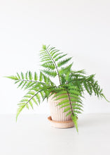 Load image into Gallery viewer, Fake Outdoor Plastic Forest Fern Plant - 17&quot;
