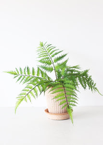 Fake Outdoor Plastic Forest Fern Plant - 17"