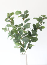 Load image into Gallery viewer, Artificial Lemon Leaf Spray - 27&quot; Tall
