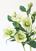 Load image into Gallery viewer, Helleborus Artificial Flower in Light Green 22&quot;

