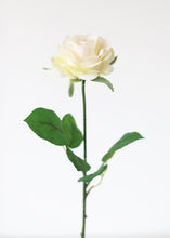 Load image into Gallery viewer, Small Tea Rose Silk Stem in Beige - 17.5" Tall
