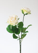 Load image into Gallery viewer, Small Tea Rose Silk Stem in Beige - 17.5" Tall
