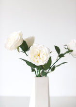 Load image into Gallery viewer, English Cabbage Artificial Rose Stem in White - 20.5&quot; Tall
